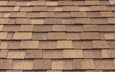 The Importance of Commercial Roof Maintenance