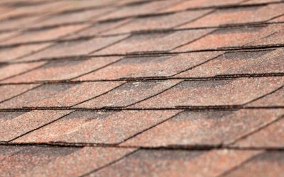 Protect Your Roof, Extend Its Life