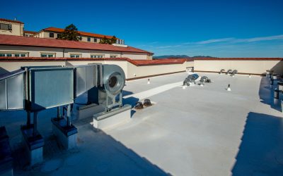 TPO vs. Modified Bitumen: Which Commercial Roofing System Is Right for Your Building?