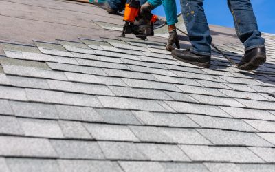 Roof Shingles Maintenance Tips: Keep Your Roof Looking Great for Years