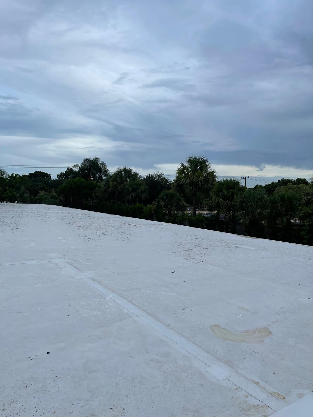 A flat, white rooftop with trees and a cloudy sky in the background.