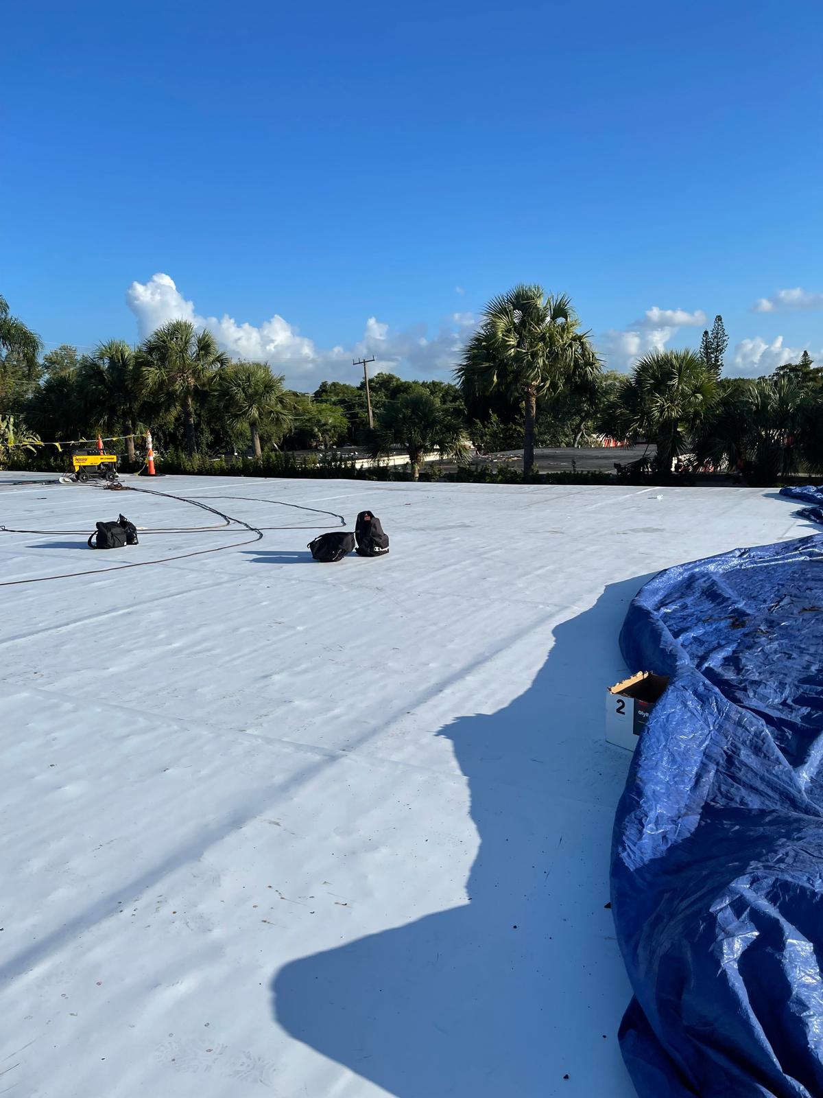 Large white tarp spread on the ground with some bags and blue tarp, palm trees in the background.