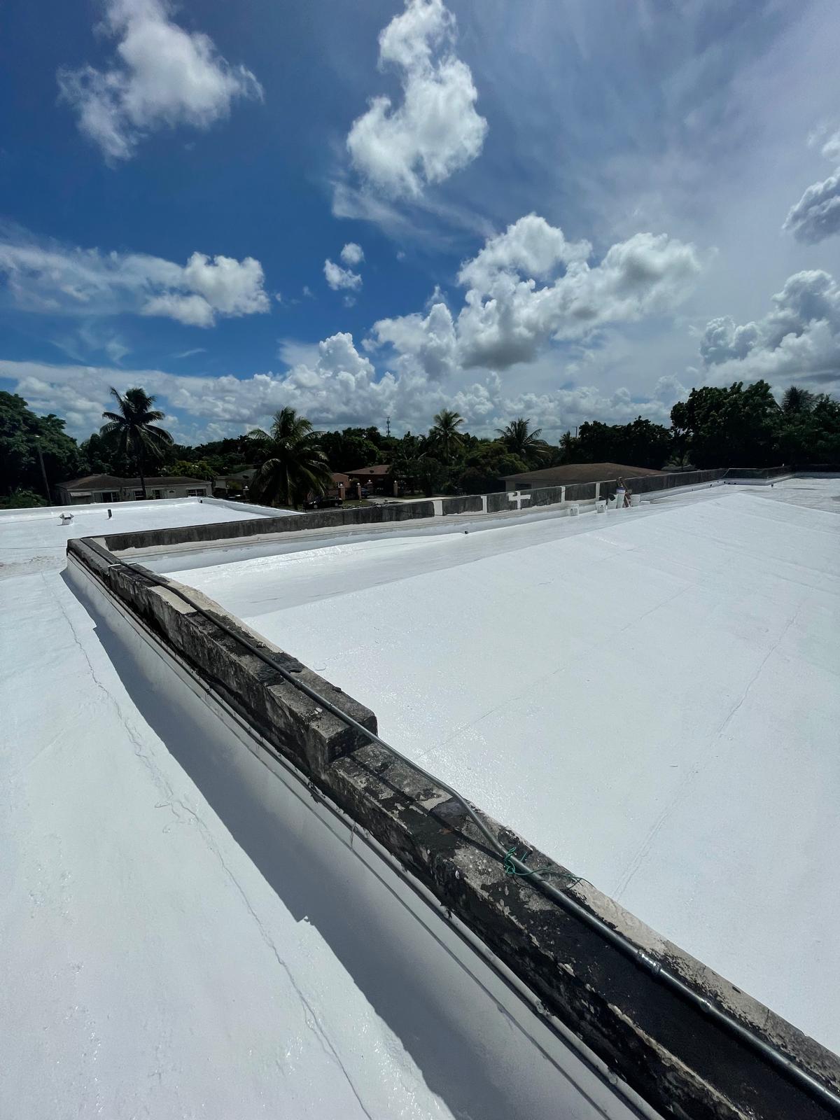 Bright white rooftop under a blue sky with scattered clouds and palm trees in the background.