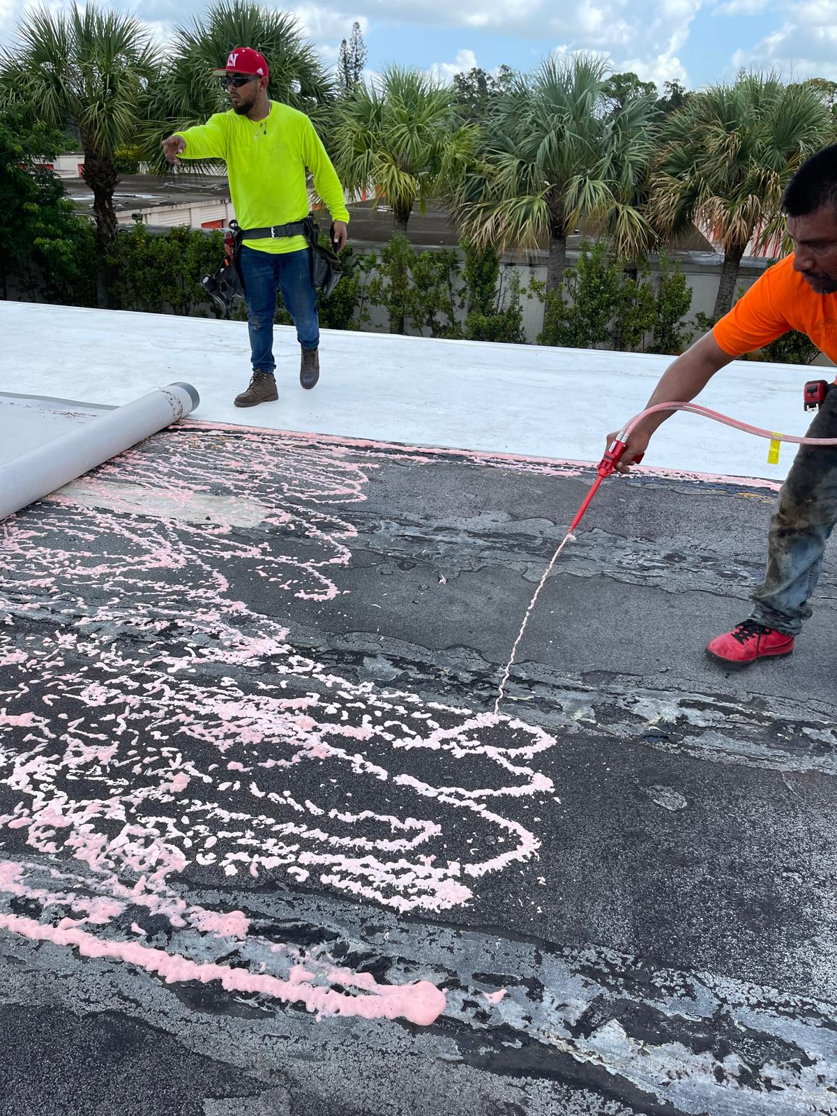 Two workers apply pink foam sealant to a flat rooftop surrounded by trees and palm trees.
