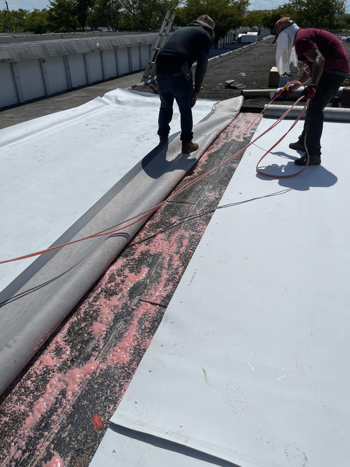Two workers unroll white roofing material over a roof with pink adhesive spread underneath.