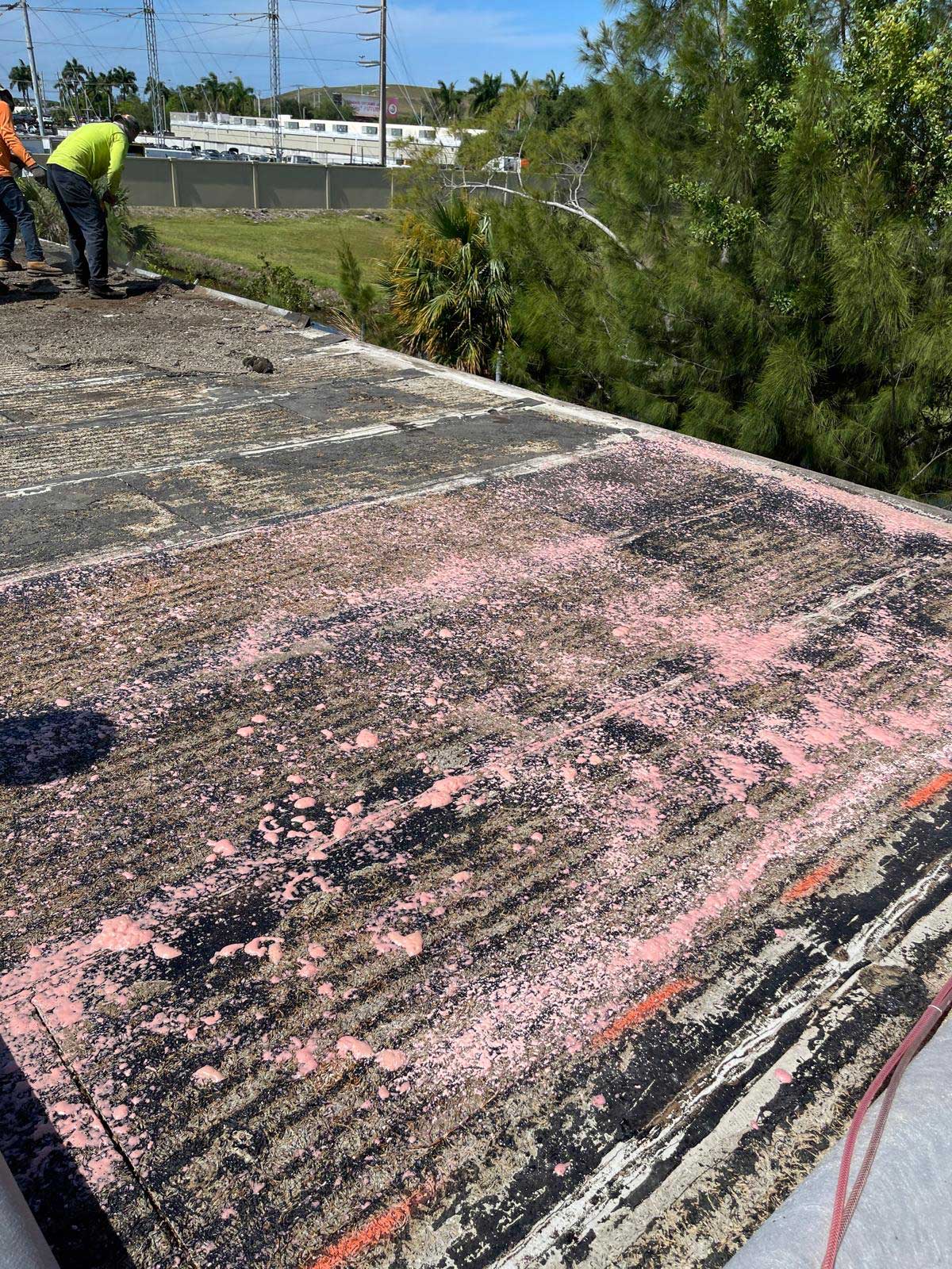 Workers stand on a weathered rooftop with pink powder scattered across its surface, near trees and power lines.