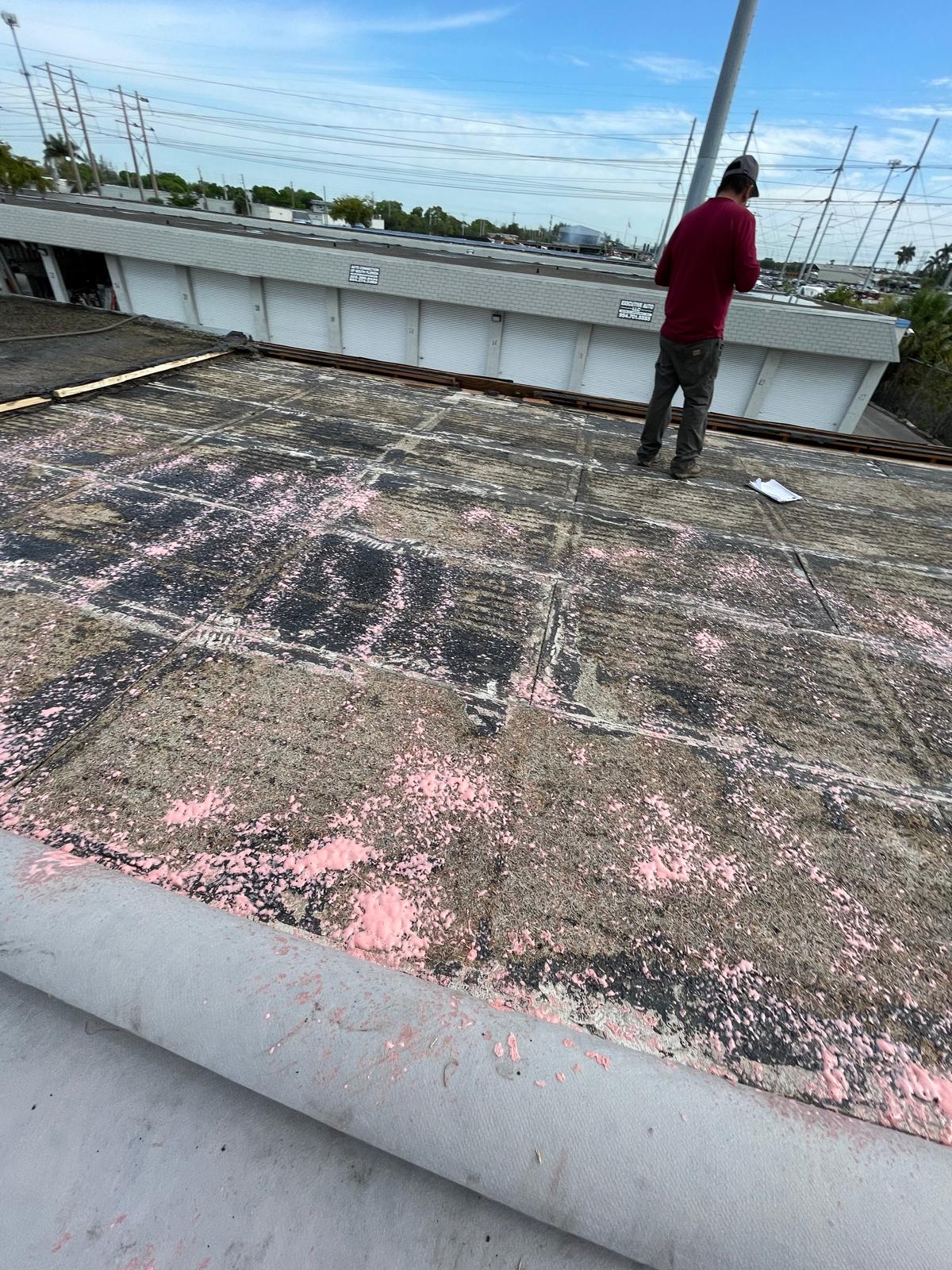 Person standing on a weathered rooftop with scattered pink debris and power lines in the background.