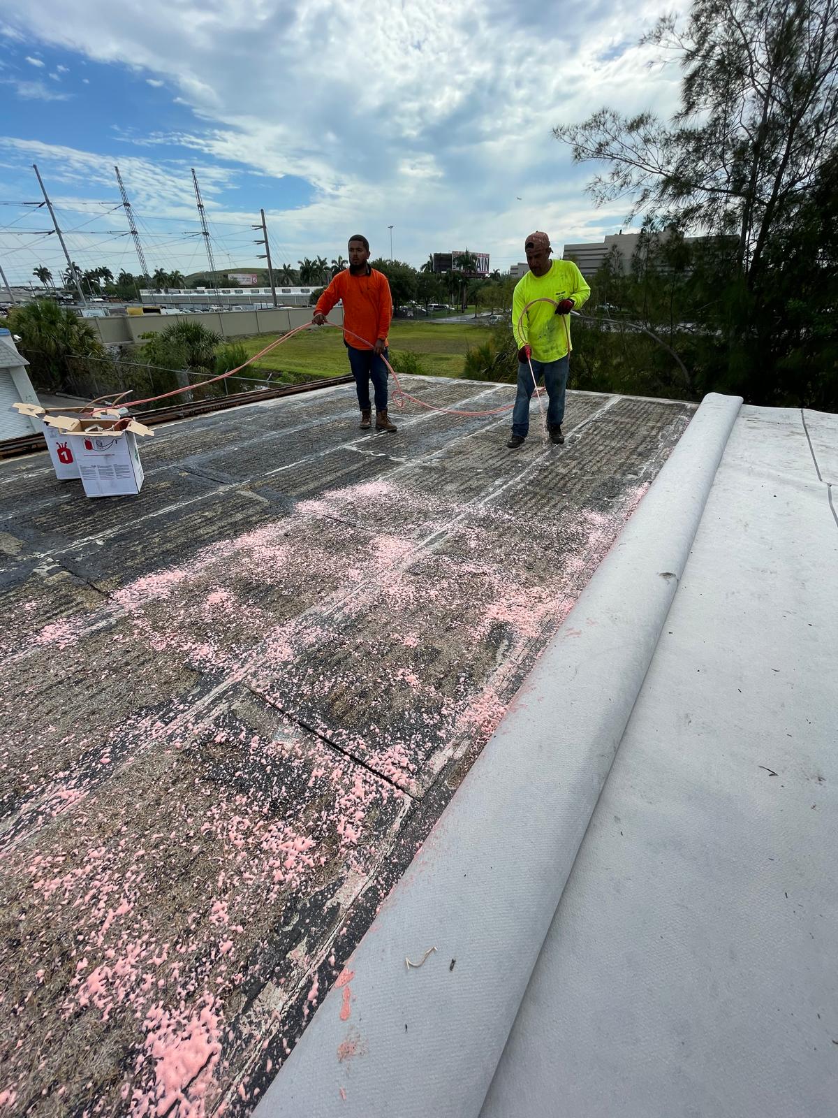 Two workers on a rooftop spray a pink substance, wearing safety gear under a cloudy sky.