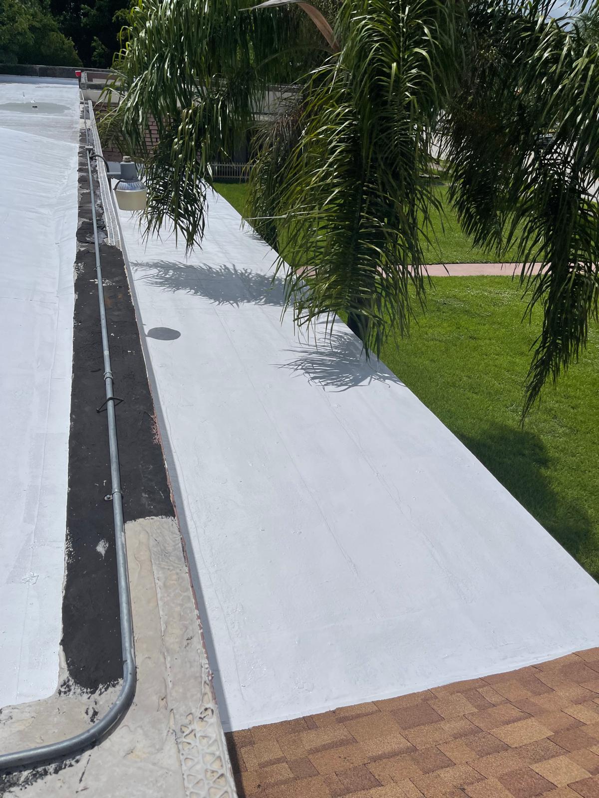 Flat white rooftop with nearby palm tree, green lawn, and brown shingles visible in the foreground.