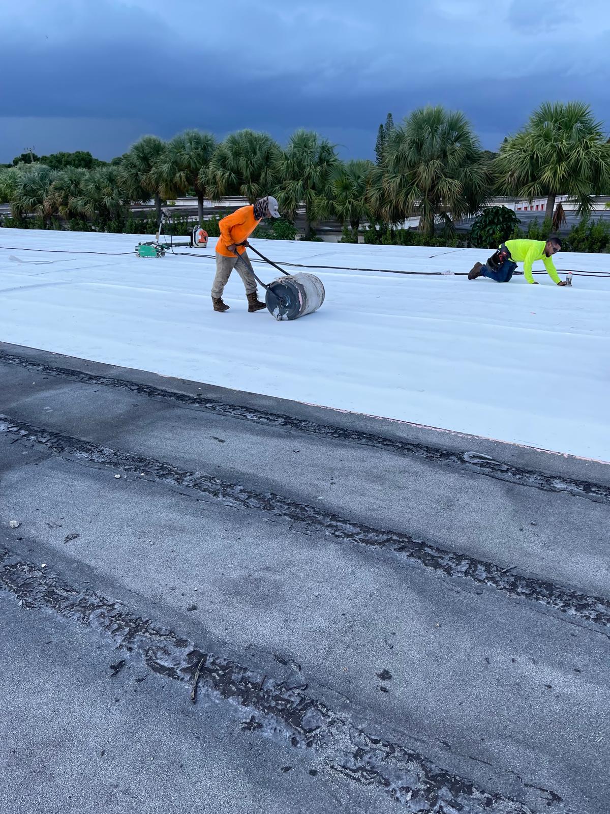 A worker in an orange shirt rolls material on a flat white roof, with palm trees and cloudy sky in the background.