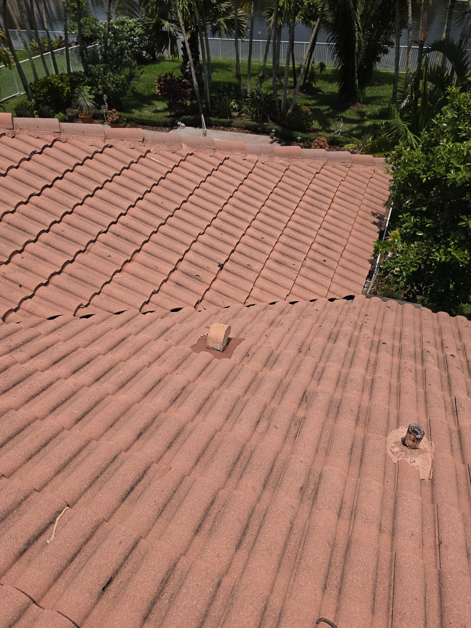 View of a red tiled roof with trees, plants, and a fence visible in the background on a sunny day.