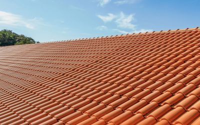 How Roof Ventilation Affects Your Roof’s Lifespan and Energy Efficiency