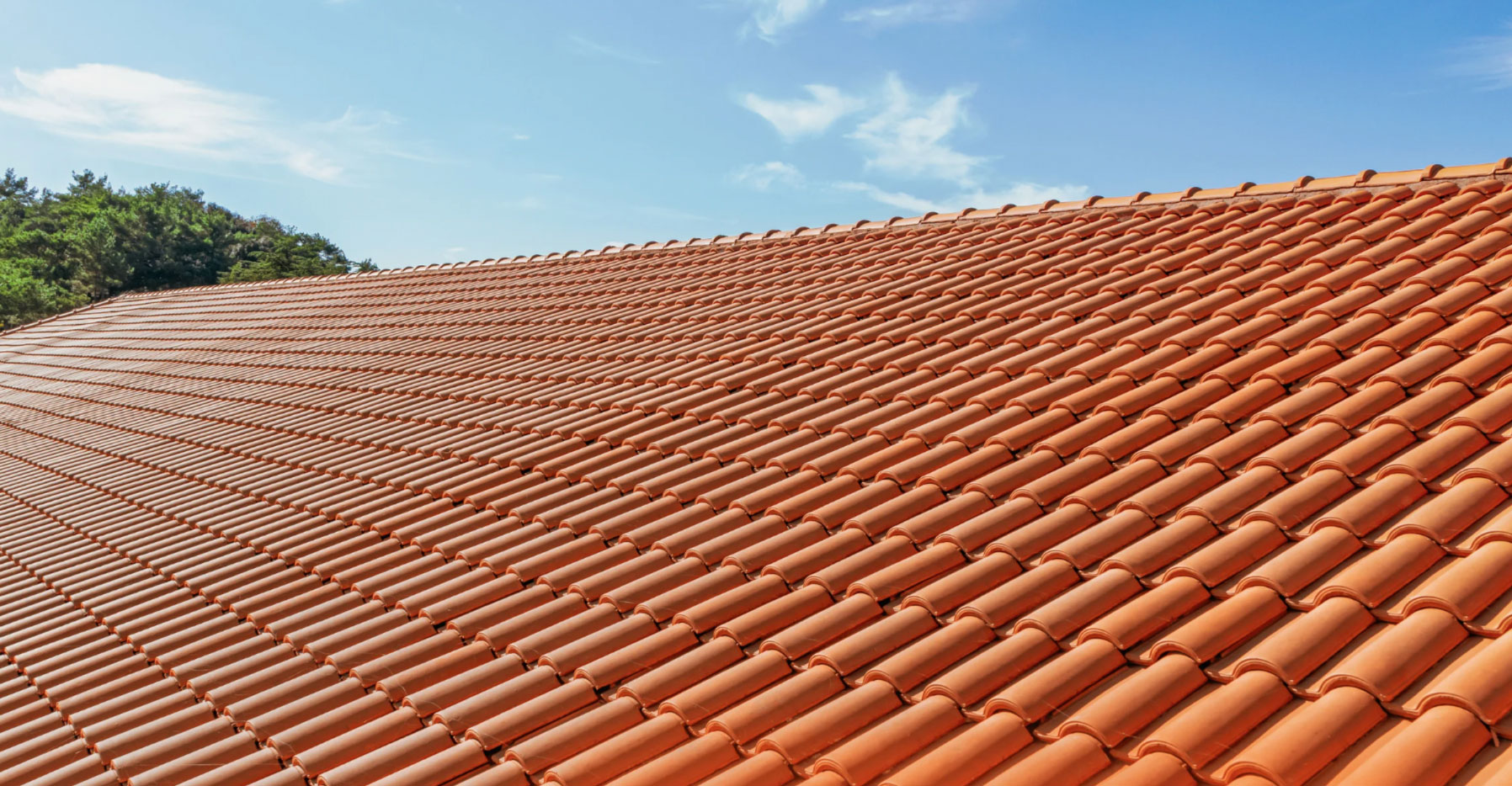 Red clay roof tiles in rows under a blue sky with some clouds and trees at the edge.